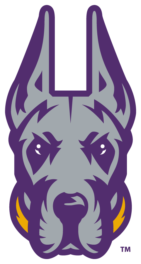 Albany Great Danes 2020-Pres Alternate Logo v7 iron on transfers for clothing